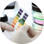 Tested by experienced pathologist and automated machines by Biocheck Diagnostics And Polyclinic