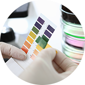 Tested by experienced pathologist and automated machines by Biocheck Diagnostics And Polyclinic